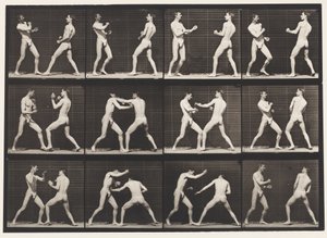 Tavle 338. Boksning; Åben hånd (sko) af Eadweard Muybridge