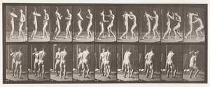 Tavle 339. Boksning; Åben hånd af Eadweard Muybridge