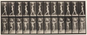 Plade 33. Gående, 14-lb. Kurv på hovedet, hævede hænder, 1872-1885 af Eadweard Muybridge