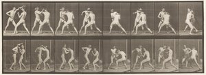 Tavle 342. Boksning; Åben hånd, 1872-1885 af Eadweard Muybridge