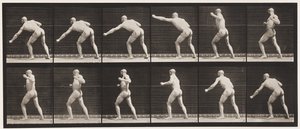 Plade 343. Slå et slag (venstre hånd) af Eadweard Muybridge