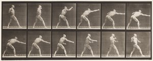 Plade 344. Slå et slag (højre hånd) af Eadweard Muybridge