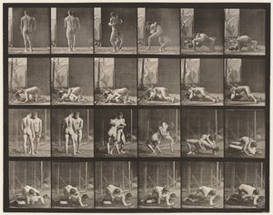 Tavle 346. Brydning, Lås af Eadweard Muybridge