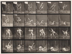 Tavle 348. Wrestling, græsk-romersk, 1885 af Eadweard Muybridge