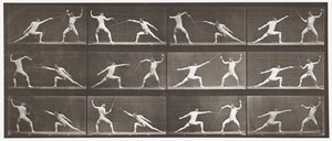 Tavle 349. Fægtning, 1872-1885 af Eadweard Muybridge