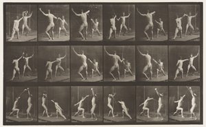 Plade 350. Fægtning af Eadweard Muybridge