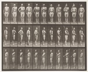 Plade 352. Skulder-, ordens- og bærearme af Eadweard Muybridge