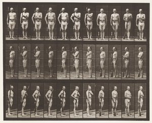 Plade 354. Bærearme, Paradestøtte og Trailarme af Eadweard Muybridge