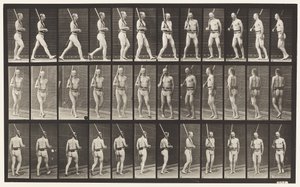 Tavle 355. På vagt, gang og vending af Eadweard Muybridge
