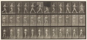 Plade 359. Ladebajonet, 1872-1885 af Eadweard Muybridge