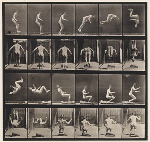 Plade 363. Løbende saltomortale, 1885 af Eadweard Muybridge