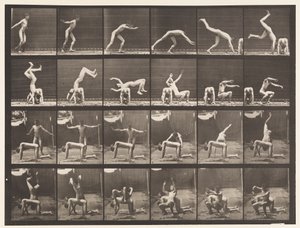 Tavle 364. Håndfjeder over Mandens Ryg af Eadweard Muybridge