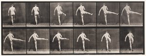 Tavle 369. Første Balletaktion af Eadweard Muybridge