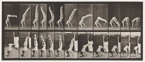 Plade 371. Acrobat, Lodret Tryk Op af Eadweard Muybridge