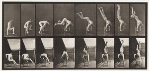 Plade 373. Akrobat, tryk op fra stolen af Eadweard Muybridge