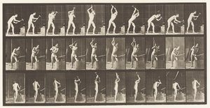 Tavle 378. Smed, Hamring på Ambolt, To Hænder af Eadweard Muybridge