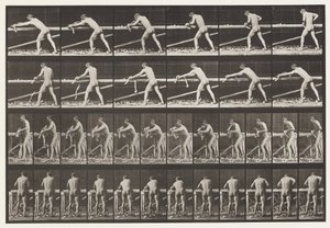 Tavle 379. Tømrer, høvle et bræt, 1872-1885 af Eadweard Muybridge