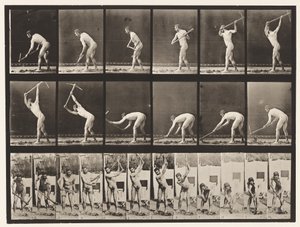 Tavle 385. Bonde, ved hjælp af en hakke, 1872-1885 af Eadweard Muybridge