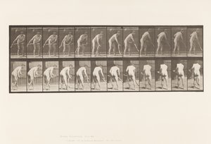 Tallerken 390. Landmand, Slår Græs af Eadweard Muybridge