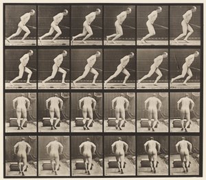 Tavle 393. Skubber en haverulle, 1872-1885 af Eadweard Muybridge