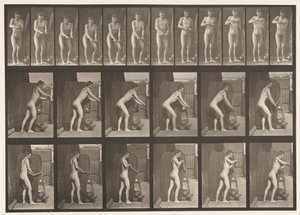 Plade 395. Drejning af et håndsving af Eadweard Muybridge