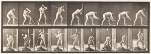 Tallerken 396. Dunkende med en Mallet af Eadweard Muybridge