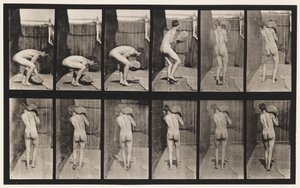 Plade 397. Løfte 75-lb. Sten på skulderen, 1872-1885 af Eadweard Muybridge