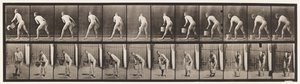 Plade 398. Løfter en spand vand til tom, 1872-1885 af Eadweard Muybridge