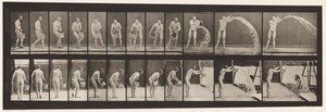 Tavle 399. Tømmespand vand, 1872-1885 af Eadweard Muybridge