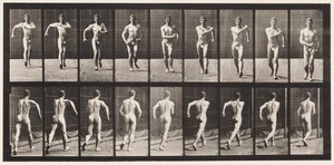 Plade 3. Gå af Eadweard Muybridge