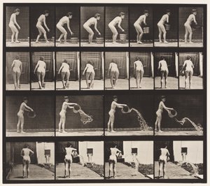 Tallerken 401. Tømmespand med vand af Eadweard Muybridge