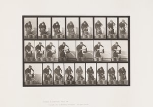 Tallerken 403. Tømmespand med vand af Eadweard Muybridge
