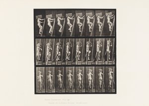 Plade 405. Bærende hånd af mursten op ad en stige, 1872-1885 af Eadweard Muybridge