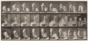 Plade 408. To modeller af Eadweard Muybridge