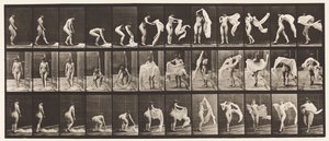 Tallerken 419. Toilet, Bøjet, Kasteomslag om skuldrene af Eadweard Muybridge