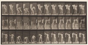 Tavle 434. Hængende tøj på line, 1872-1885 af Eadweard Muybridge