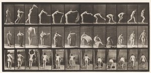 Plade 439. Spredning af et tæppe på gulvet, 1872-1885 af Eadweard Muybridge