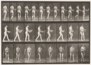 Plade 43. Gå, drysse vand fra bassinet, vende rundt af Eadweard Muybridge