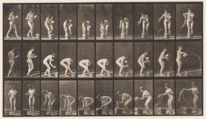 Tallerken 440. Bøje- og skylleglas af Eadweard Muybridge