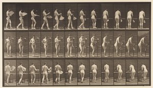 Tallerken 441. Bær vase og læg den på bordet, 1872-1885 af Eadweard Muybridge