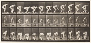 Tavle 442. Bøje sig og rulle en Sten på Jorden af Eadweard Muybridge