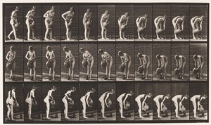 Tallerken 446. Påfyldningskande på jorden fra vandkrukke af Eadweard Muybridge