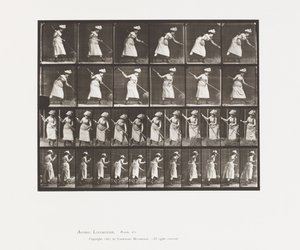 Plade 456. Rangeringen er 165 af Eadweard Muybridge