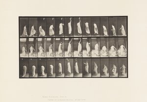 Tavle 459. At træde på stolen, række op og ned, 1885 af Eadweard Muybridge