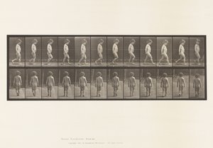 Tavle 467.Barn, gående, 1885 af Eadweard Muybridge