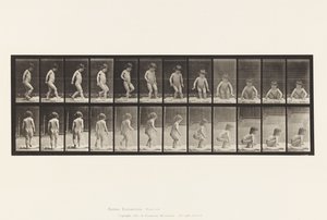 Tavle 476.Barn, der sætter sig på jorden af Eadweard Muybridge