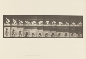Tavle 479. Barn, der rejser sig fra jorden af Eadweard Muybridge