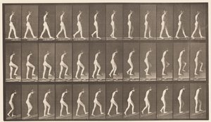 Tavle 482. A, Gang; B, Opstigende Trapper; C, Stigende Hældning, 1872-1885 af Eadweard Muybridge