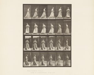 Tavle 48. Buket til at gå og vende rundt i begge hænder, 1885 af Eadweard Muybridge