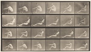 Plade 492. A af Eadweard Muybridge